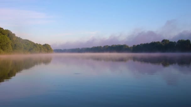 Fiume con nebbia — Video Stock