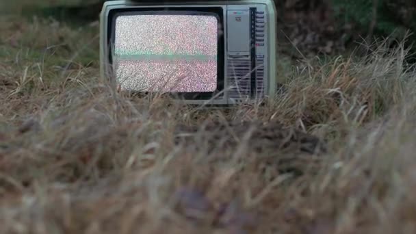 TV no signal in grass — Stock Video