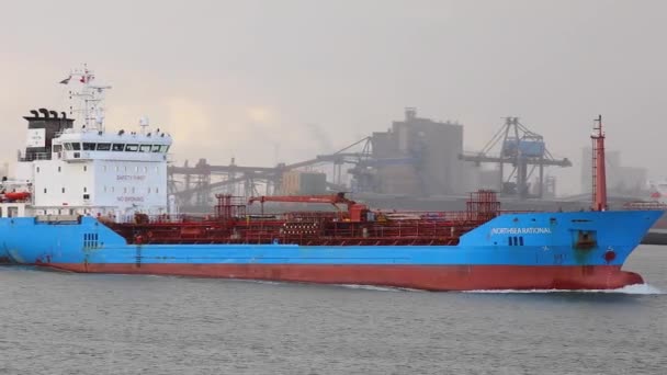 Embarcación transportando contenedores a través de Rotterdam — Vídeos de Stock