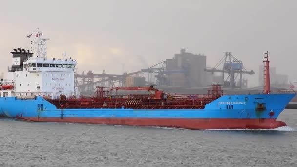 Ship carrying containers through rotterdam — Stock Video