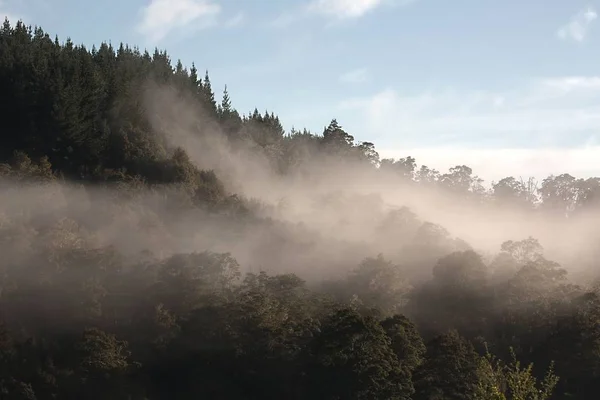 在雾中的山 — 图库照片