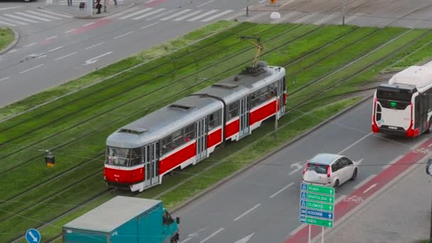 Straßenbahnen auf der Straße — Stockvideo