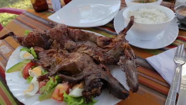 Porco da Guiné servido em um prato — Vídeo de Stock