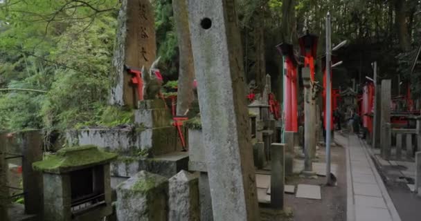 Fushimi Inari Taisha torii gate — стокове відео