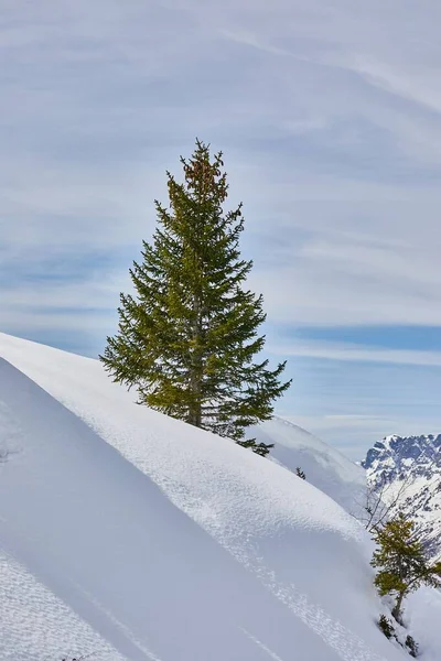 Esquiar pistas, majestosa paisagem alpina — Fotografia de Stock