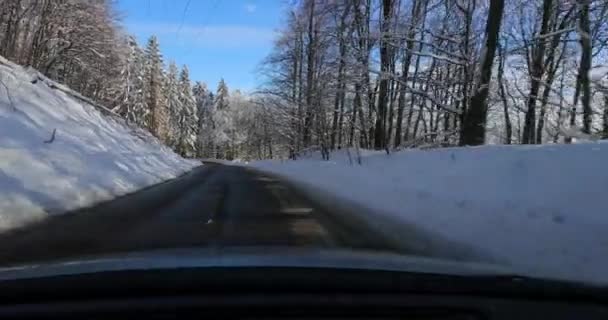 Köra bil, snöiga landskap — Stockvideo