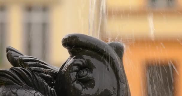 Фонтан брызгает водой в городе — стоковое видео