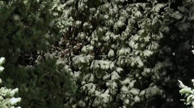 Geceleri kar yağıyor.