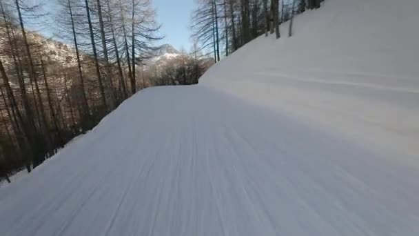 Na nartach w dół stoku — Wideo stockowe