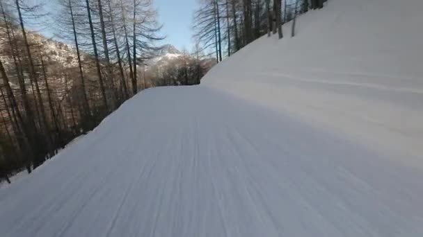 Skidåkning nedför backen — Stockvideo