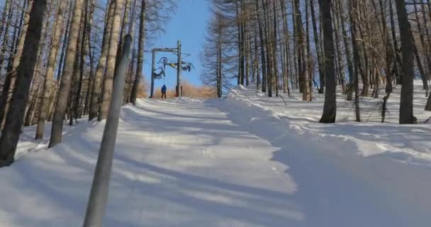 Skilift trekken — Stockvideo