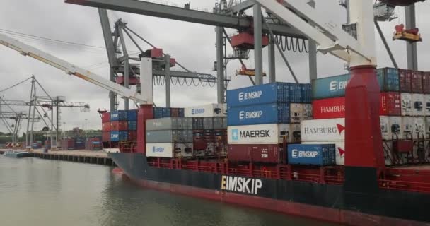 Containerschip in industriële vrachthaven met — Stockvideo