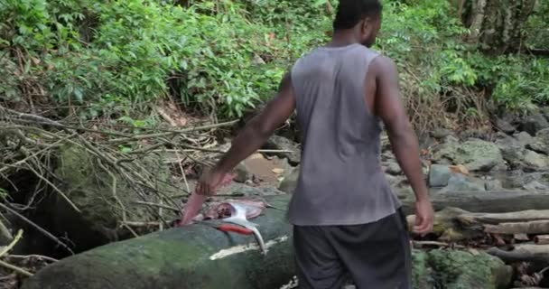 南米の熱帯雨林で魚を洗う — ストック動画