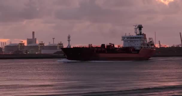 Endüstriyel kargo gemisi Rotterdam limanına doğru yol alıyor. — Stok video