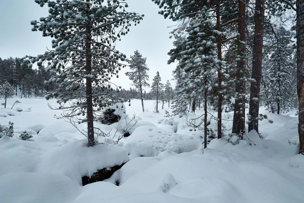 Winterliche Schneelandschaft — Stockfoto