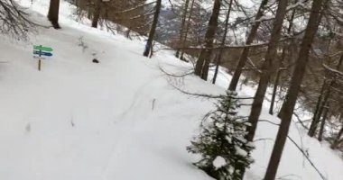 Ormanda kayak yapmak.