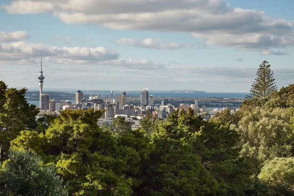 Uitzicht op Auckland — Stockfoto