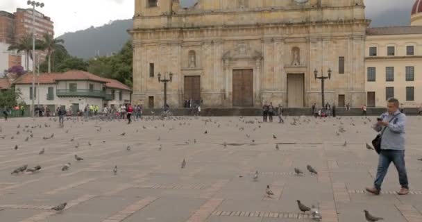 Plaza Bolivar piazza principale Bogotà Viaggi — Video Stock