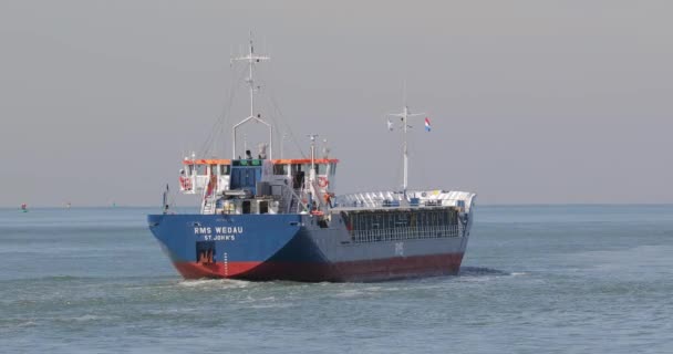Βιομηχανικά πλοία που πλέουν κοντά στο Ρότερνταμ — Αρχείο Βίντεο