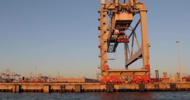 Jeřáby v kontejnerovém terminálu v Rotterdamu — Stock video