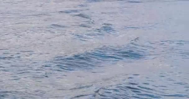 Surface de l'eau ondulée — Video