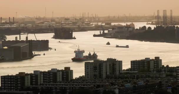 Rotterdam Ocupado vías navegables — Vídeos de Stock