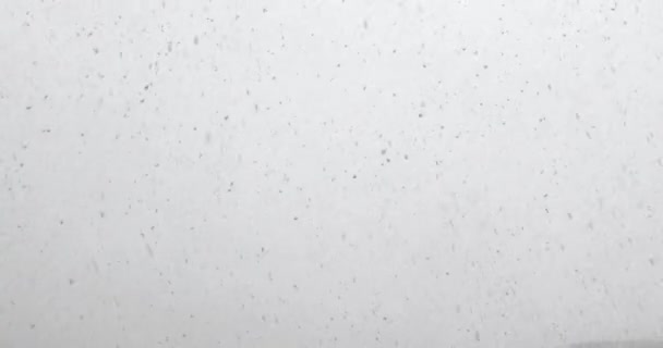 Fallande snö i mulen himmel — Stockvideo