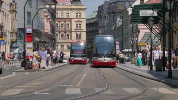 Trams on the street — Stock Video