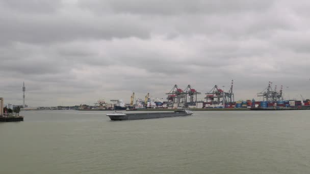 Lastfartyg bulkfartyg som lämnar hamnen i Rotterdam — Stockvideo