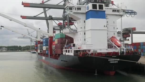 Containerschip in industriële vrachthaven met — Stockvideo