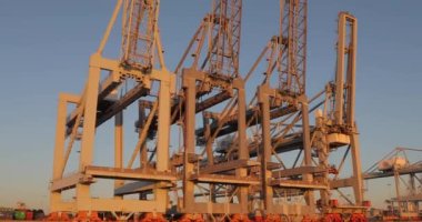 Rotterdam 'daki konteynır terminalinde vinçler