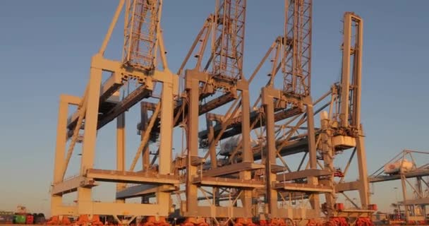 Kranen in de containerterminal in Rotterdam — Stockvideo