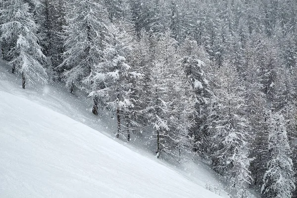 Zimowy las stok narciarski gęste opady śniegu — Zdjęcie stockowe