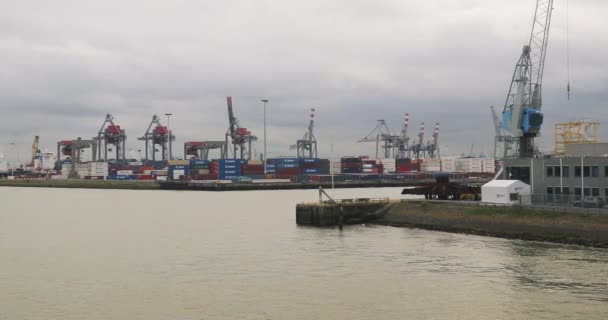 Container shipping terminal in Rotterdam — Stock Video