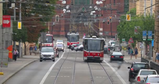 Tranvías en la calle — Vídeo de stock