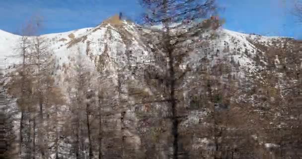 Inverno floresta de montanha — Vídeo de Stock