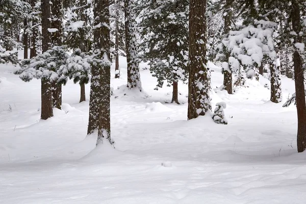 Winterliche Schneelandschaft — Stockfoto