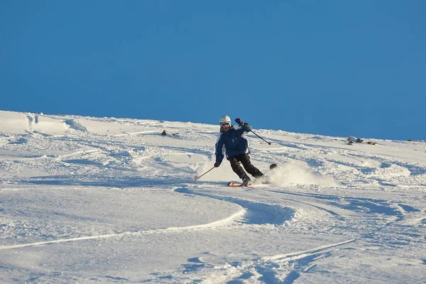 Ski dans la neige fraîche en poudre — Photo