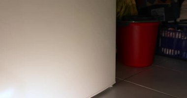 Buzdolabından bir bira alarak