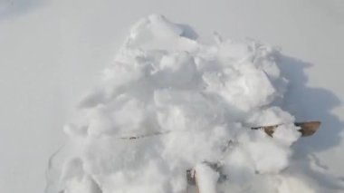 Driveway kar kürekle