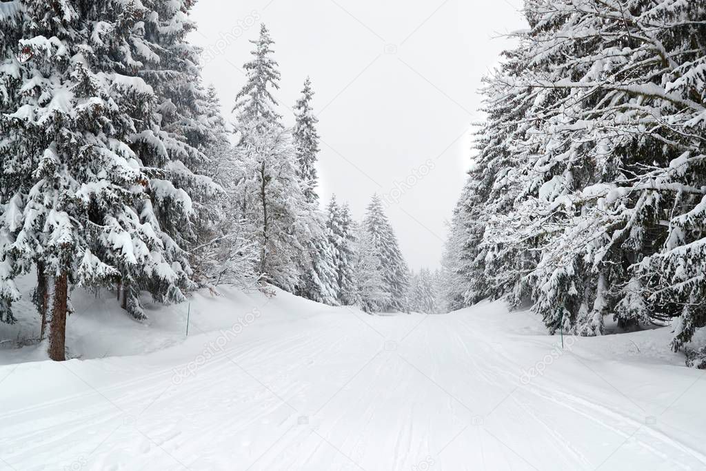 Winter Snowy Mountain Road Landscape
