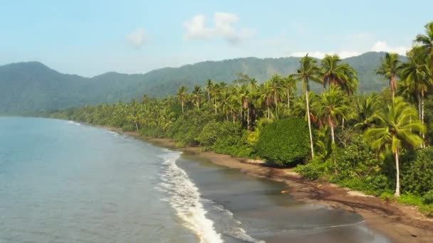 Costa do Pacífico com floresta tropical — Vídeo de Stock