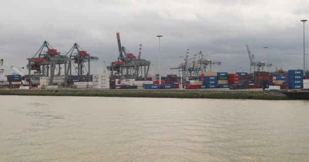 Containerterminalen i Rotterdam — Stockvideo