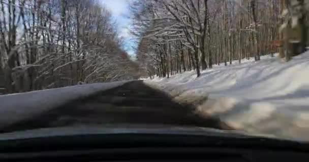 Köra bil, snöiga landskap — Stockvideo