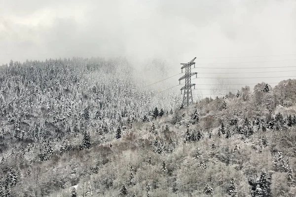 Electric power lines in snow