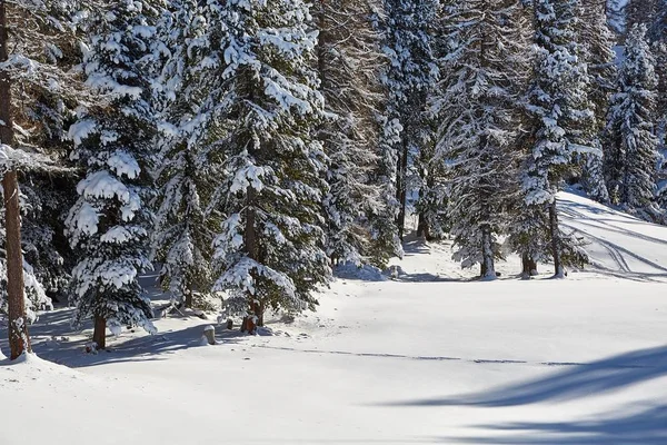 Winter Snowy Mountain Landschap — Stockfoto