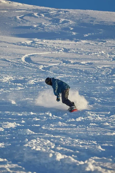 Snowboard in verse poedersneeuw — Stockfoto