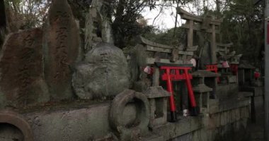 Fushimi Inari Taisha torii kapıları