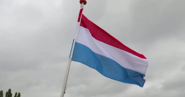 Bandera holandesa ondeando — Vídeo de stock
