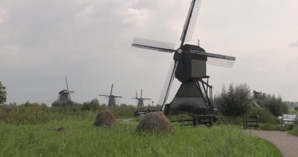Molino de viento en los Países Bajos — Vídeo de stock